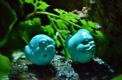 绕池闲步看鱼游——丫角山精品【深海游鱼】